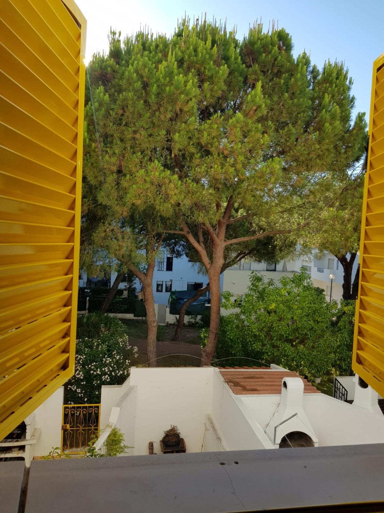 GelbBlau Falésia Albufeira Esterno foto